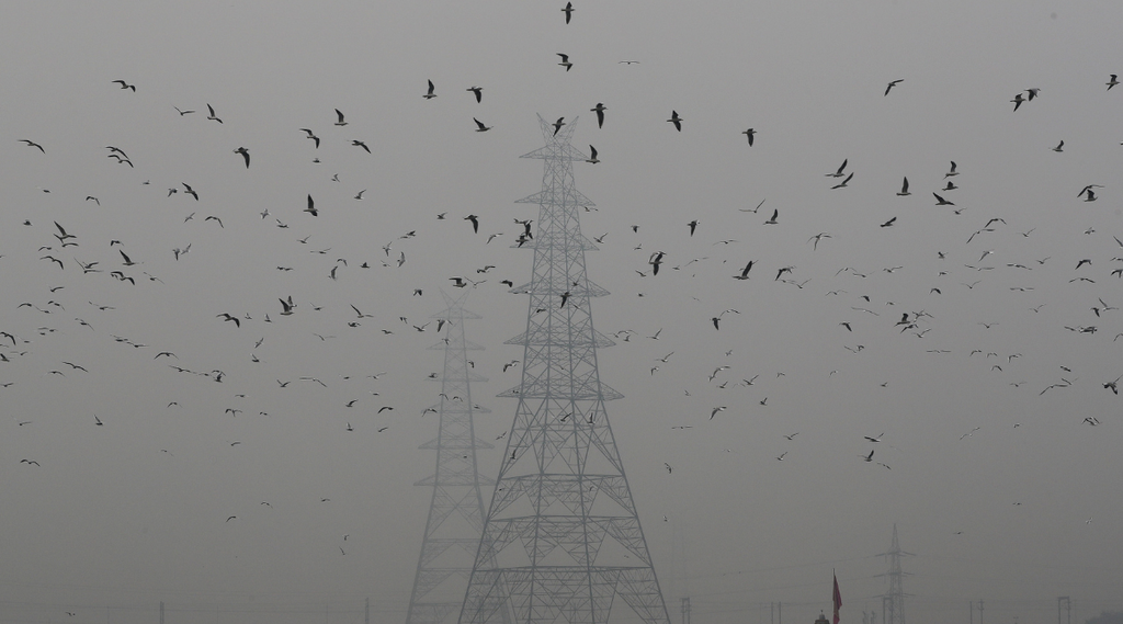 delhi smog, pollution in delhi, state news