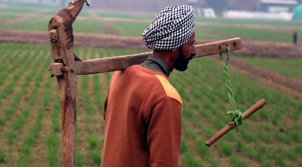 pm kisan, farmer, utility news