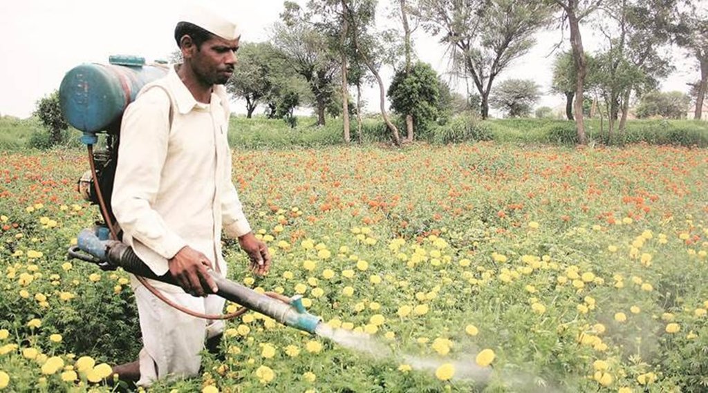 खेत में किटाणुनाशक का छिड़काव करते किसान। फाइल फोटो।