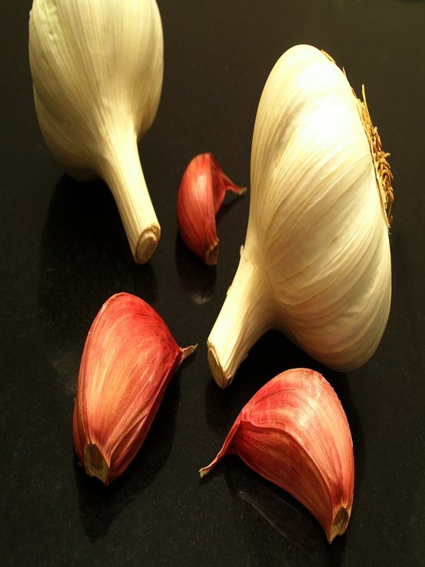 fresh garlic