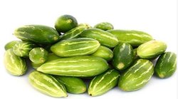 डायबिटीज के मरीज इस तरह करें कुंदरू के पत्तों का सेवन, Blood Sugar Level कंट्रोल करने में हैं कारगर