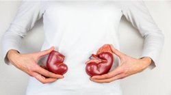 सुअर की किडनी इंसान को लगाने में कामयाब हुए डॉक्टर, भविष्य के लिए दिखी बड़ी उम्मीद