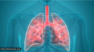 lungs, lung infection, lungs care