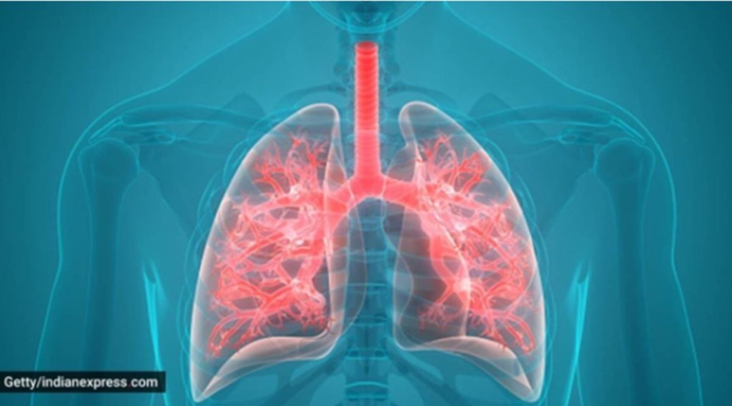lungs, lung infection, lungs care