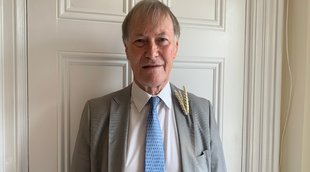 British MP David Amess, UK MP David Amess