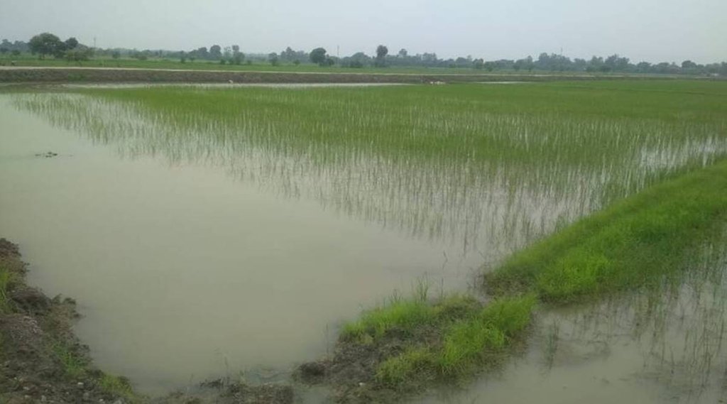 Water Management