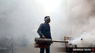 Dengue, Dengue Treatment