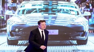 Elon Musk Tesla Share