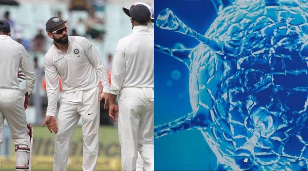 ind-vs-sa-indian-team-tour-is-concern-for-bcci-after-new-variant-of-corona-virus-emerged-in-south-africa-netherlands-tour-is-cancelled-csa-gives-statement