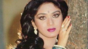 Meenakshi Sheshadri, Kumar Sanu, Kumar Sanu divorce