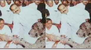Uttar Pradesh, Yogi Adityanath