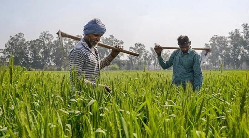 PM Kisan योजना के साथ चार योजनाएं भी बड़े काम की, सब्सिडी पर खरीद सकते हैं खाद, बीज व ट्रैक्‍टर (File Photo)