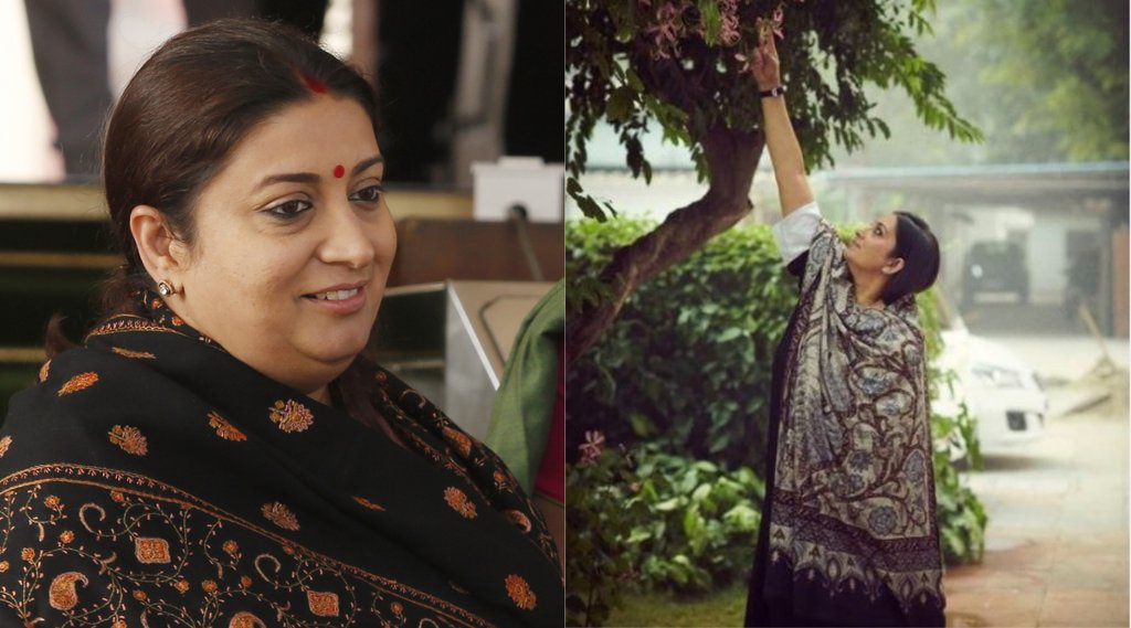 Smriti Irani, BJP