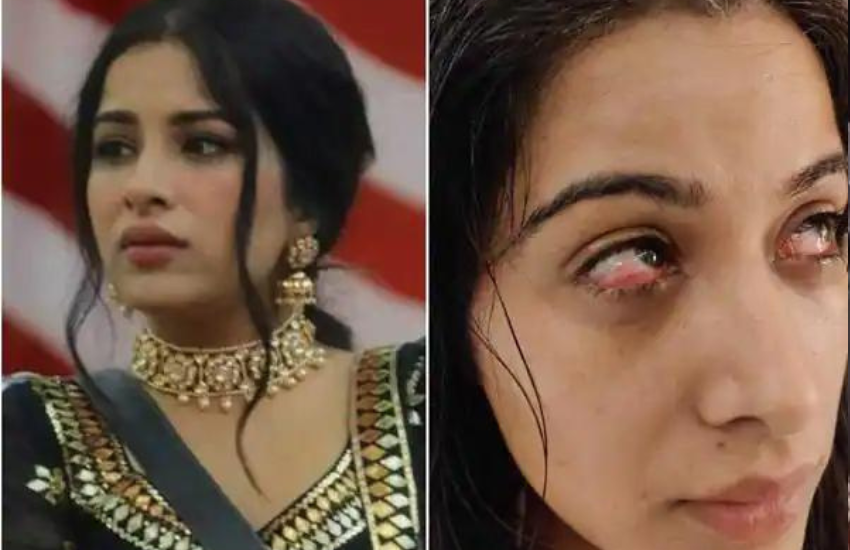 बिग बॉस 14 के पहले ही हफ्ते में सारा गुरपाल भी जख्मी हो गई थीं। टास्क के दौरान निक्की तम्बोली ने सारा गुरपाल पर ऐसा हमला बोला कि उनकी आंखों में ही चोट लग गई। हालांकि चोट लगने के बाद सारा गुरपाल को शो से ही बाहर कर दिया गया था।