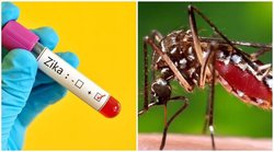 कानपुर में जीका वायरस के संक्रमण का हुआ विस्फोट, एक साथ मिले 25 नए मरीज