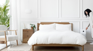 air purifier, utility news, tech news