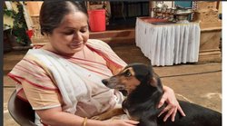 ‘अनुपमा’ एक्ट्रेस माधवी गोगटे का कोरोना वायरस के कारण निधन, 58 वर्ष की उम्र में कहा दुनिया को अलविदा