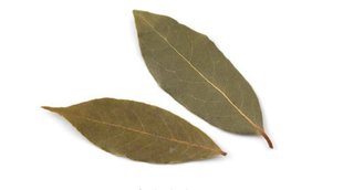 Bay Leaf, Blood Sugar Level, High Blood Sugar Level
