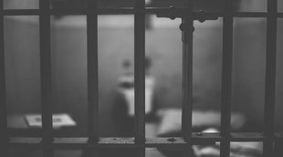 china blogger arrest, global times