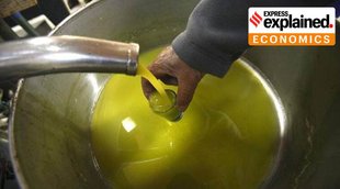 edible-oil