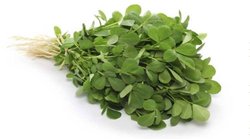 हाई ब्लड शुगर को कंट्रोल करने में कारगर है मेथी का साग, इन स्वास्थ्य समस्याओं से भी दिलाता है छुटकारा