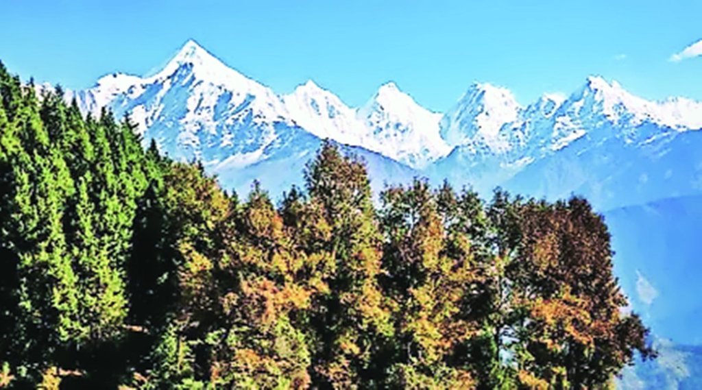 सांकेतिक फोटो।