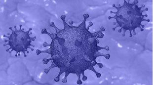 Coronavirus, Omicron Variant, Health News