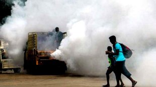India dengue outbreak , delhi dengue