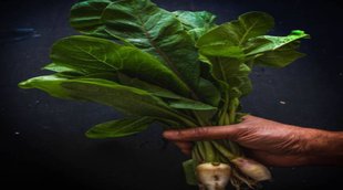 Health News, Blood Sugar Level, Diabetes