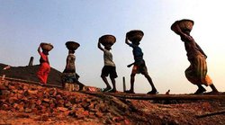 eSHRAM portal पर जरुरी जानकारी समेत फोटो में कैसे कर सकते हैं बदलाव? जानें पूरा प्रोसेस