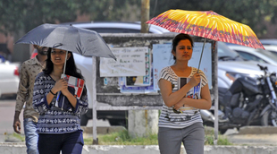 haryana, state news, utility news