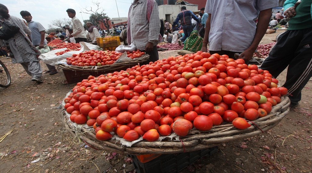 Tomato Price