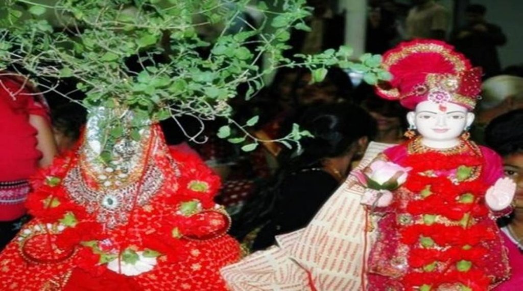 tulsi vivah, tulsi vivah 2021, tulsi vivah katha, tulsi vivah vrat katha, तुलसी विवाह कथा, tulsi vivah,