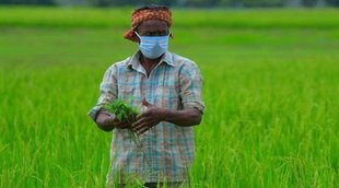 PM KISAN Yojana, PM Kisan Samman Nidhi, PM Kisan Samman Nidhi 10th Installment,