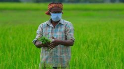 PM KISAN Yojana : एक-दो दिन में आ जाएगी 10वीं किस्त, जानिए-कैसे चेक कर सकते हैं स्टेटस, दिक्कत होने पर यहां करें शिकायत