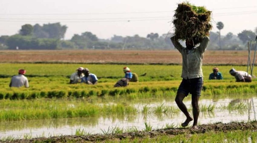 Pradhan Mantri Fasal Bima Yojana, Farmers, Prime Minister Modi,