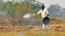 Kisan Yojna : किसान सम्मान निधि की तरह हैं ये तीन और योजनाएं, खरीद सकते हैं खाद, बीज और ट्रैक्टर