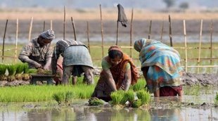 PM Kisan Yojana, PM Kisan 10th Installment,