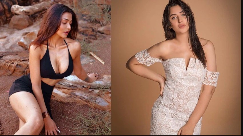 बता दें कि आसमा और माहिरा दोनों ही आज छोटे पर्दे का बड़ा नाम बन चुकी हैं। माहिरा शर्मा तो बिग बॉस में भी नजर आई थीं। दोनों ही एक्ट्रेस सोशल मीडिया में काफी एक्टिव हैं। आइए दिन दोनों अपनी तस्वीरें शेयर करती रहती हैं जो उनके फैंस को काफी पसंद भी आती हैं।