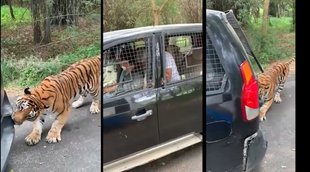 Viral Video, SUV Viral Video