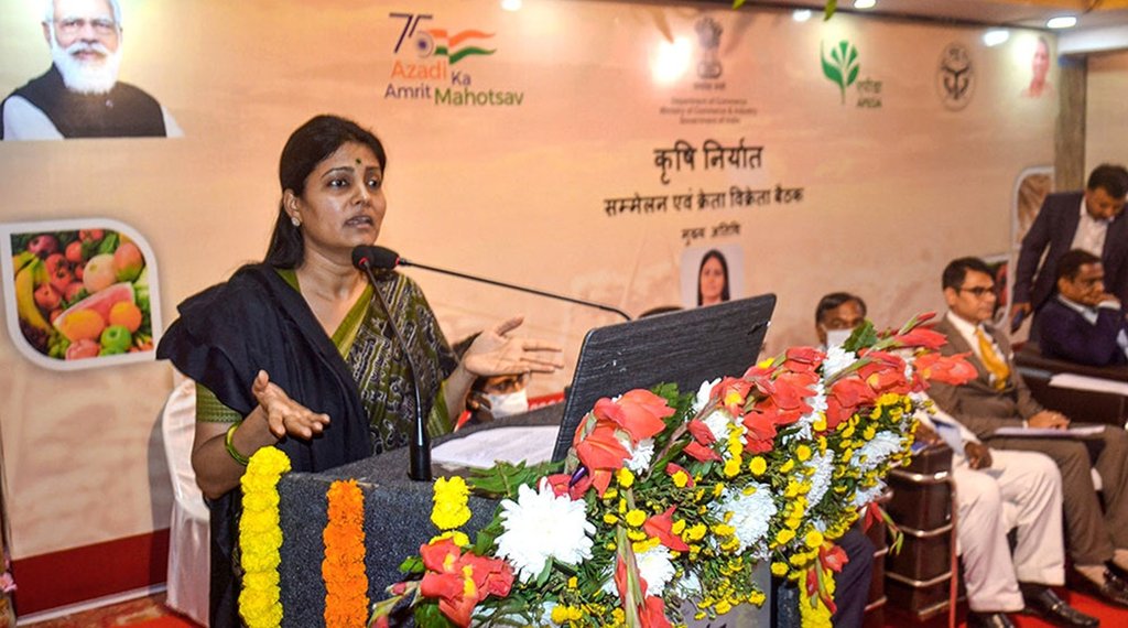 Anupriya Patel Photo, Anupriya Patel Jansatta