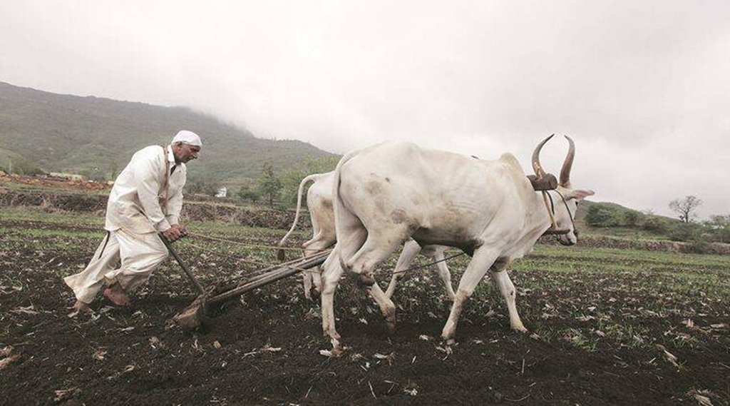 न्यूनतम कीमत अधिकतम लाभ