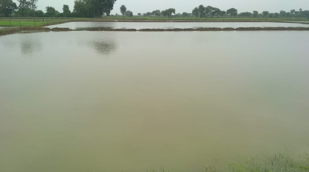 Water Conservation, Water management