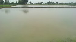 लोहे के तवे के मानिंद जलते पत्थरों पर बहा दी जलधारा, बुंदेलखंड में पानी बचाने के लिए जिद्दी और जुनूनी बने जिगरा योद्धा को सम्मान