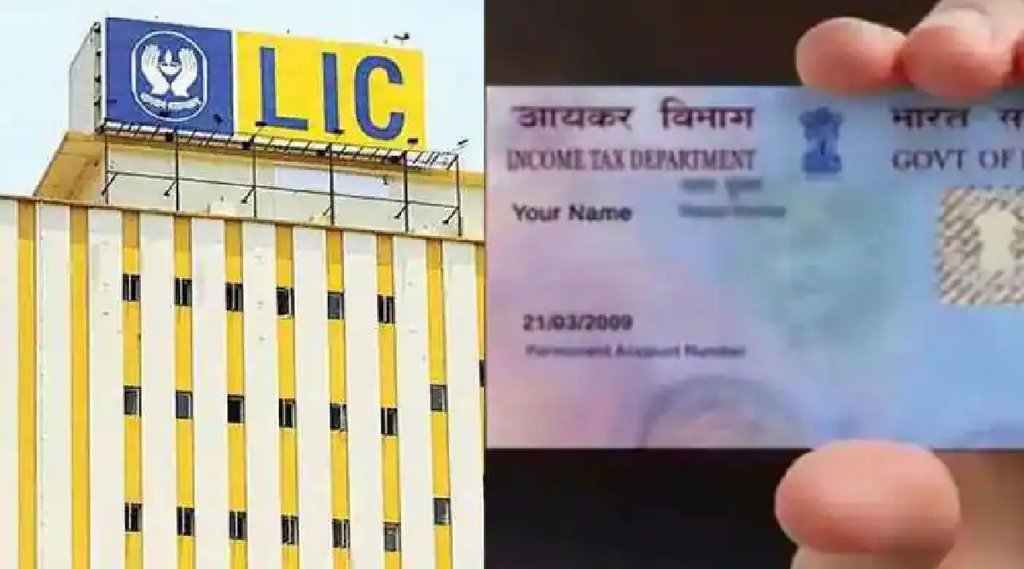 LIC के IPO में निवेश करना चाहते हैं पैसे तो अपडेट कर लें PAN Card, जानें- क्या है पूरा प्रोसेस? (File Photo)