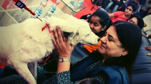 Menaka Gandhi,BJP MP