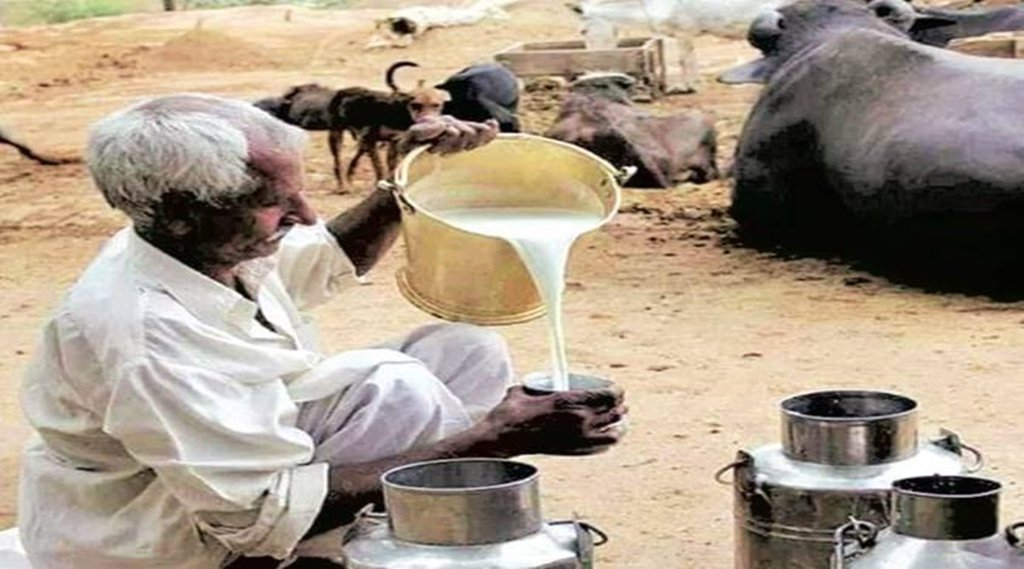 सांकेतिक फोटो।