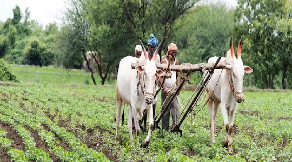PM Kisan योजना की 10वीं किस्‍त: किसानों के खाते में पैसा आने में क्‍यों हो रही देरी, कब आएगी रकम? जानिए सबकुछ (File Photo)