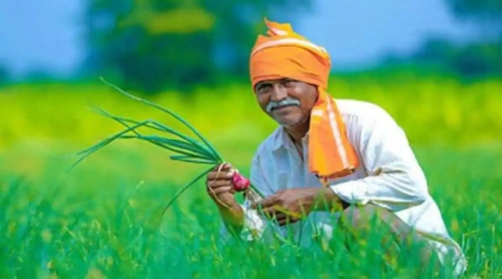PM Kisan: क्या आपके भी स्‍टेटस में लिखा है यह शब्‍द, जानें- क्या है मतलब और कब तक आएगी रकम? (File Photo)
