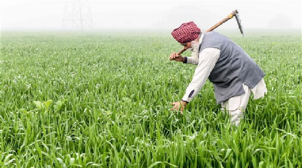 नए साल पर आएगी PM Kisan योजना की 10वीं किस्‍त, 12 करोड़ किसानों के खातें पहुंचेगी रकम (File Photo)